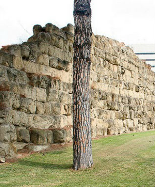Muraserviane3Roma-8